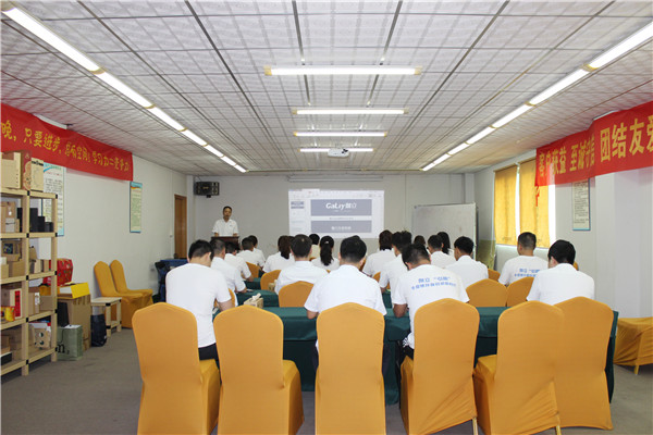 拍马集团销售会